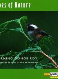 pelicula Sonidos Relajantes – Selva y Aves