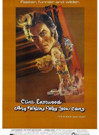 pelicula La gran pelea