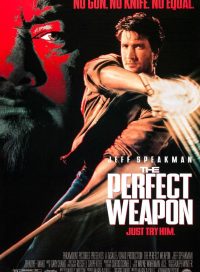 pelicula Arma perfecta