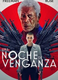 pelicula Una noche de venganza