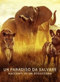pelicula El paraíso que sobrevive: Un legado familiar