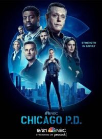 pelicula Chicago P.D.