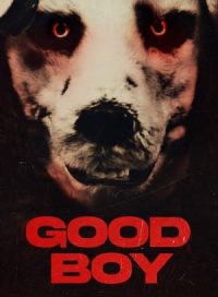 pelicula Good Boy