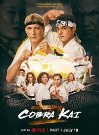 pelicula Cobra Kai