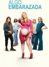 pelicula Algo embarazada