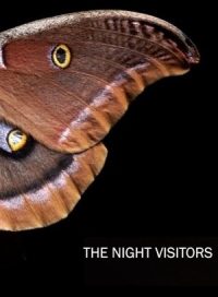pelicula The Night Visitors